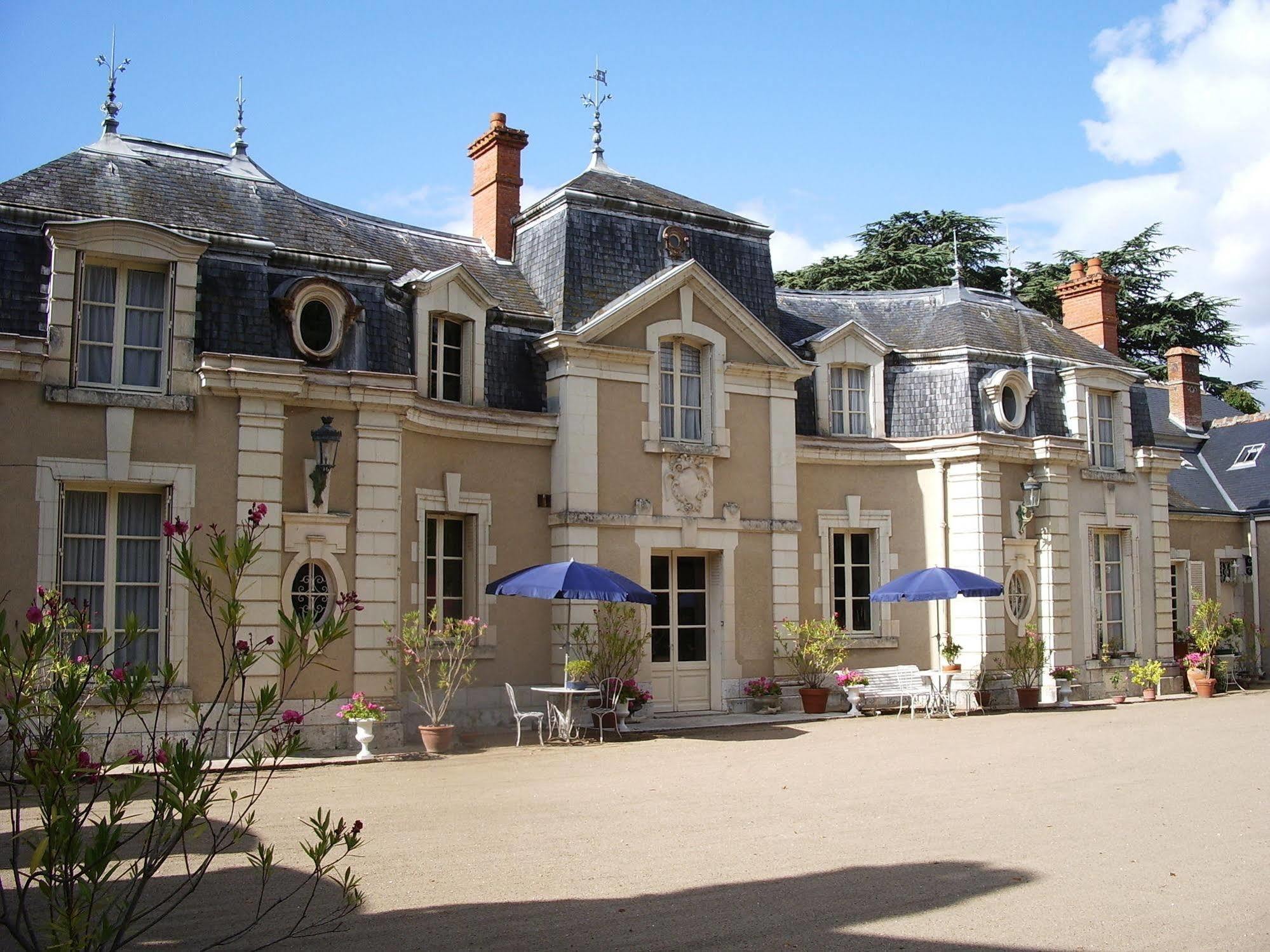 Chateau De Colliers Muides-sur-Loire Exterior foto